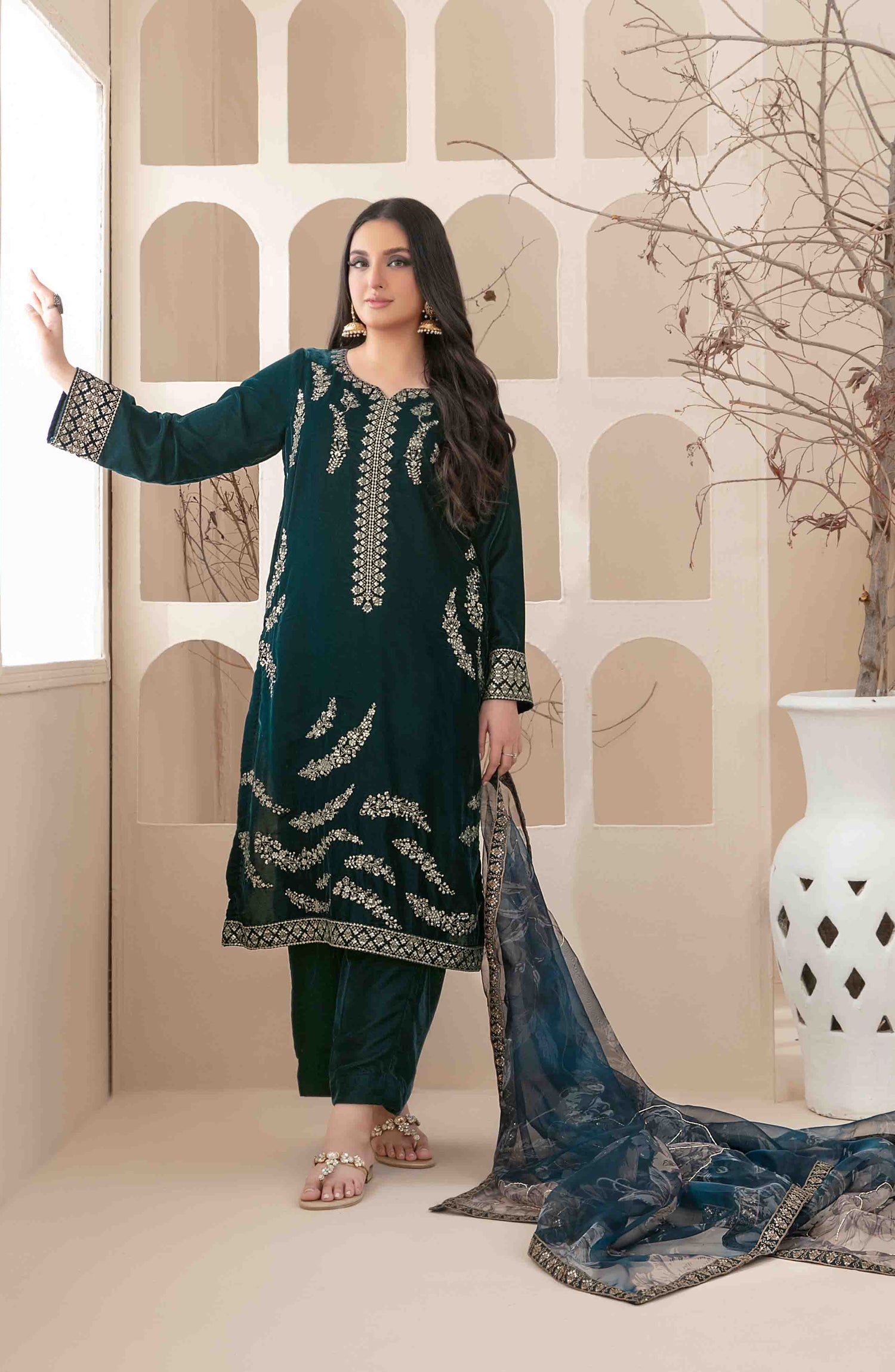 Stitched Fancy Heavy Embroidered Velvet Dress