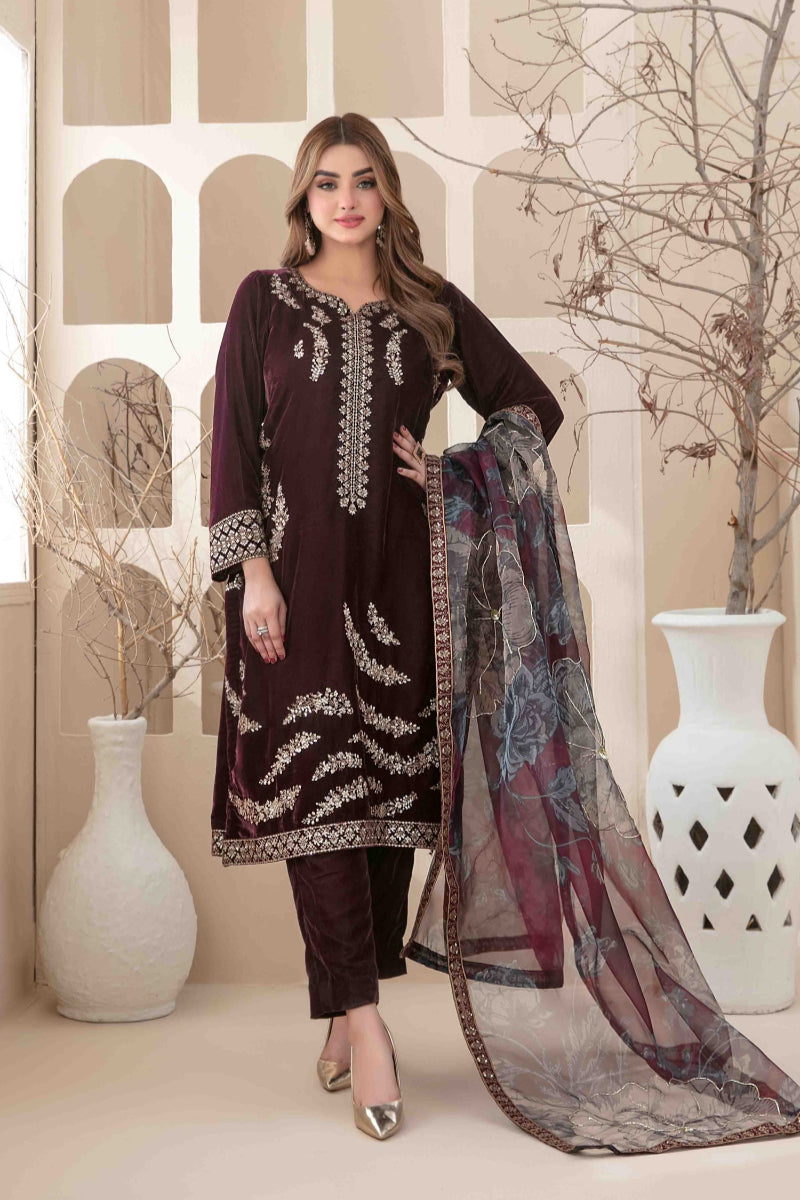 Stitched Fancy Heavy Embroidered Velvet Dress