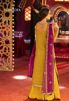 Luxury Organza Embroidered Suit