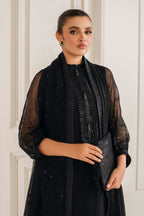 3  Piece Stitched  Chiffon Suit - Ready to Wear