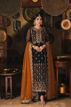 3 Piece Stitched  Chiffon Suit - Ready to Wear
