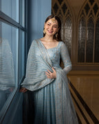 Ombré Ice Blue - Two Tone Embroidered Net Maxi | Ready To Wear