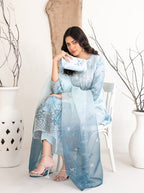 Mulan By Tawakkal Embroidered Organza Collection 2025