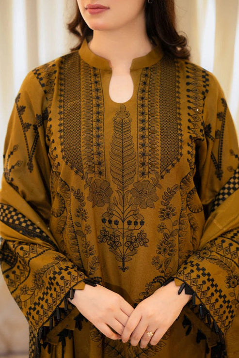 3 Piece Stitched Dhanak Suit - Ready To Wear