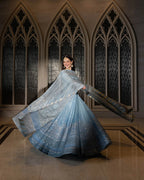 Ombré Ice Blue - Two Tone Embroidered Net Maxi | Ready To Wear