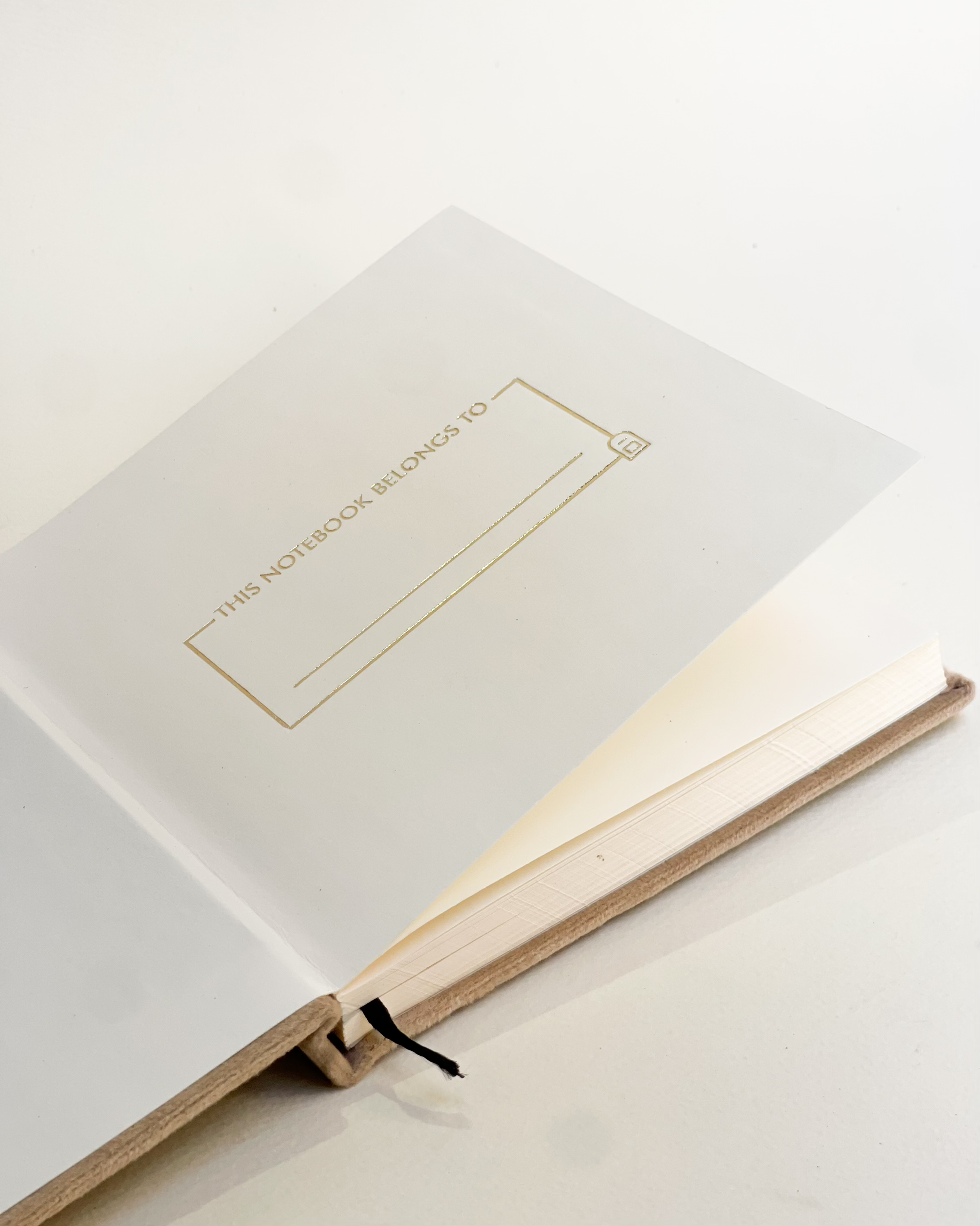 The Canvas Notebook