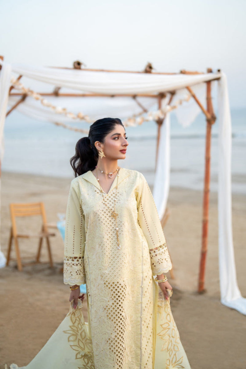 Yellow Cotton 2 piece Suit with Organza Dupatta | Ready To Wear