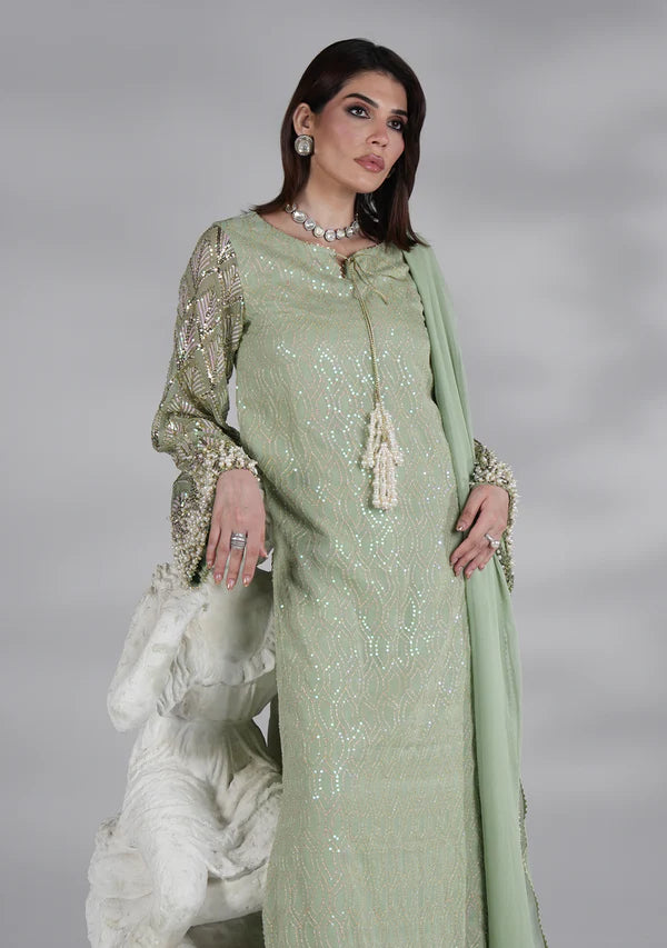 Mint Green - Embroidered Chiffon Suit | Ready To Wear