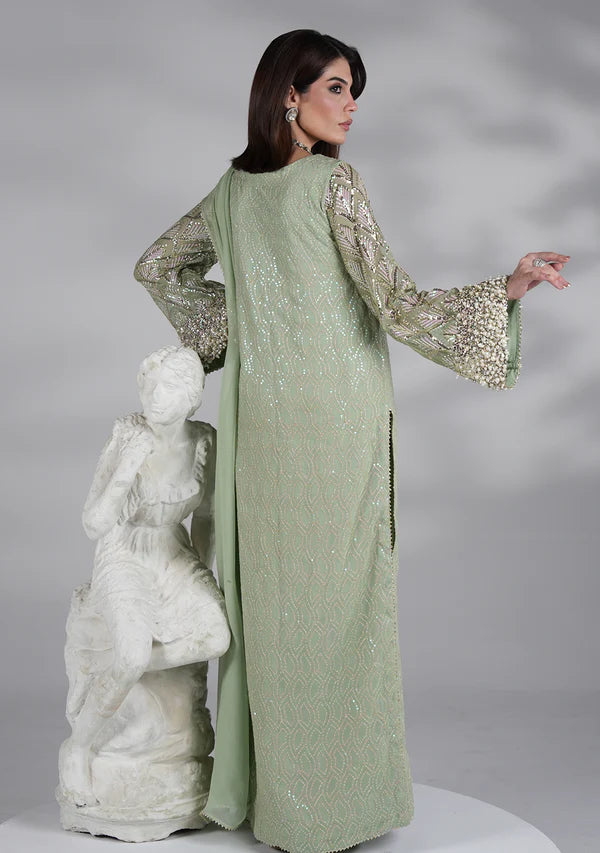 Mint Green - Embroidered Chiffon Suit | Ready To Wear