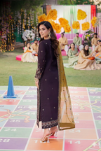 3 Piece Stitched Chiffon Suit - Ready  to Wear