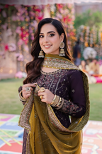 3 Piece Stitched Chiffon Suit - Ready  to Wear