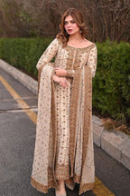 Ivory Glimmer: Embroidered Chiffon Suit | Ready To Wear