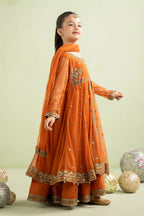 03 Piece Embroidered Chiffon Suit - Ready To Wear
