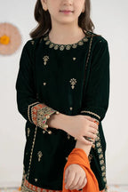 03 Piece Embroidered Chiffon Suit - Ready To Wear