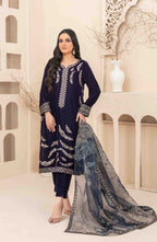 Stitched Fancy Heavy Embroidered Velvet Dress