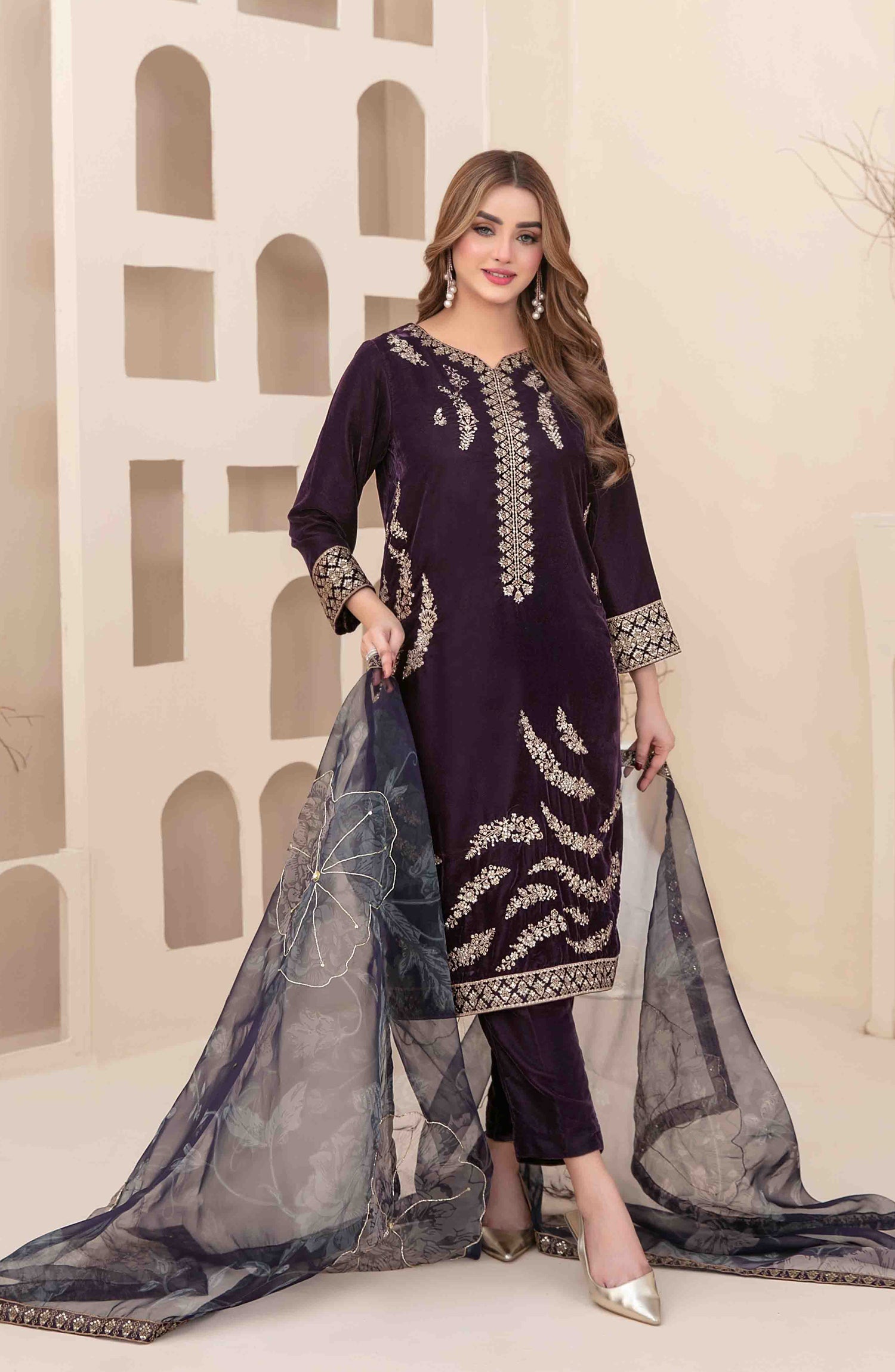 Stitched Fancy Heavy Embroidered Velvet Dress