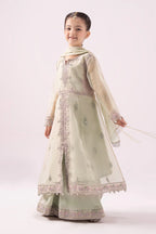 03 Piece Heavy Embroidered Chiffon Suit - Ready To Wear