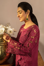 03-Piece Schiffli Embroidered Lawn Suit With Organza Dupatta | Ready To Wear