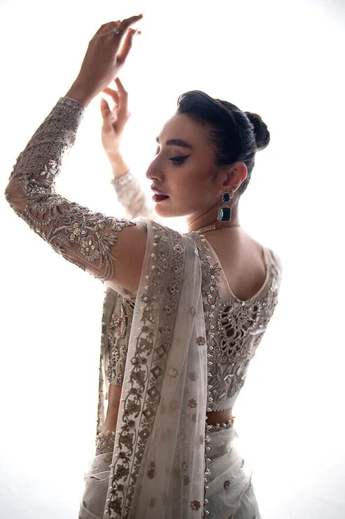 Pearl White & Metallic Silver: Net Saree With Heavy Embroidered Blouse | Ready To Wear