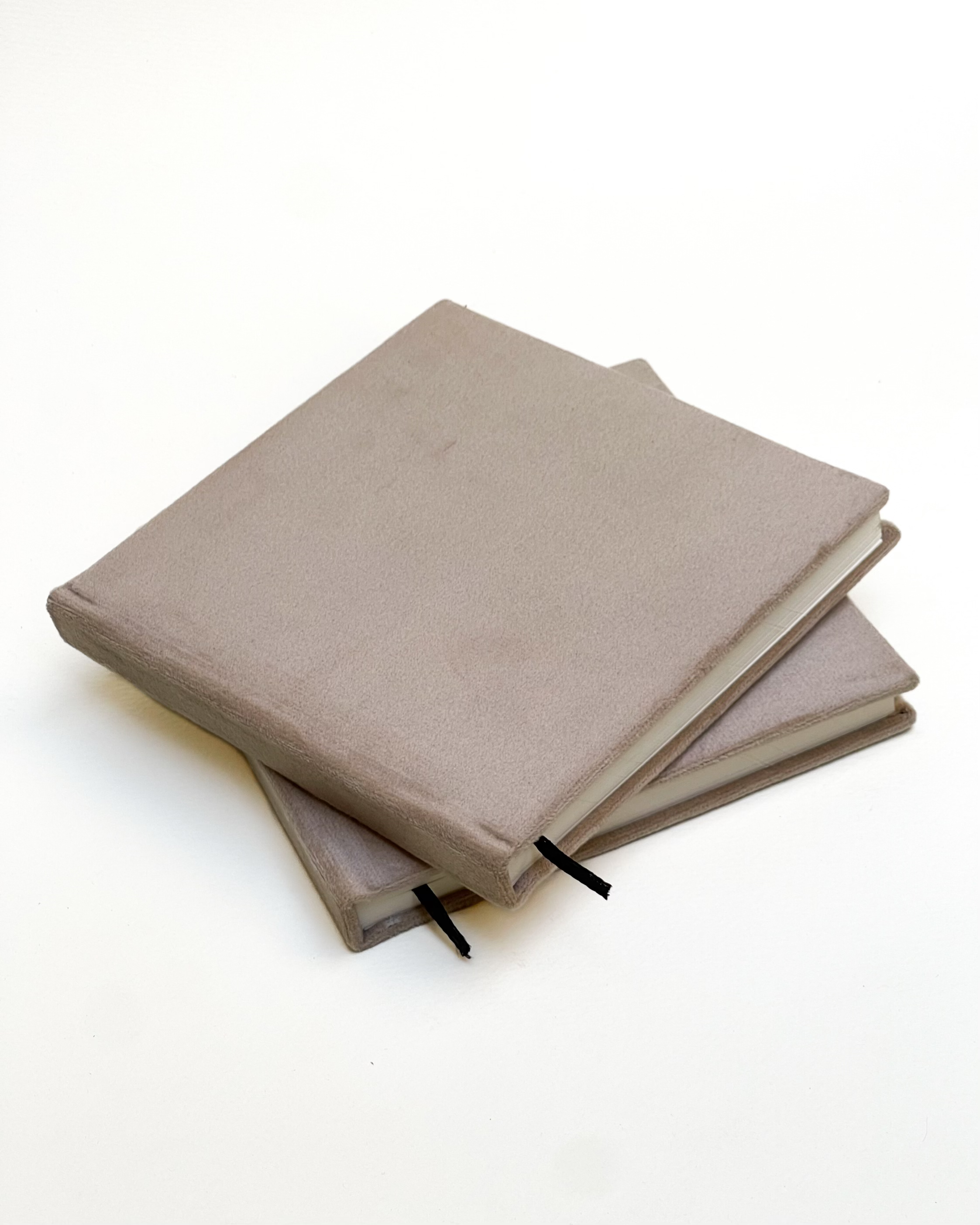 The Velvet Notebook