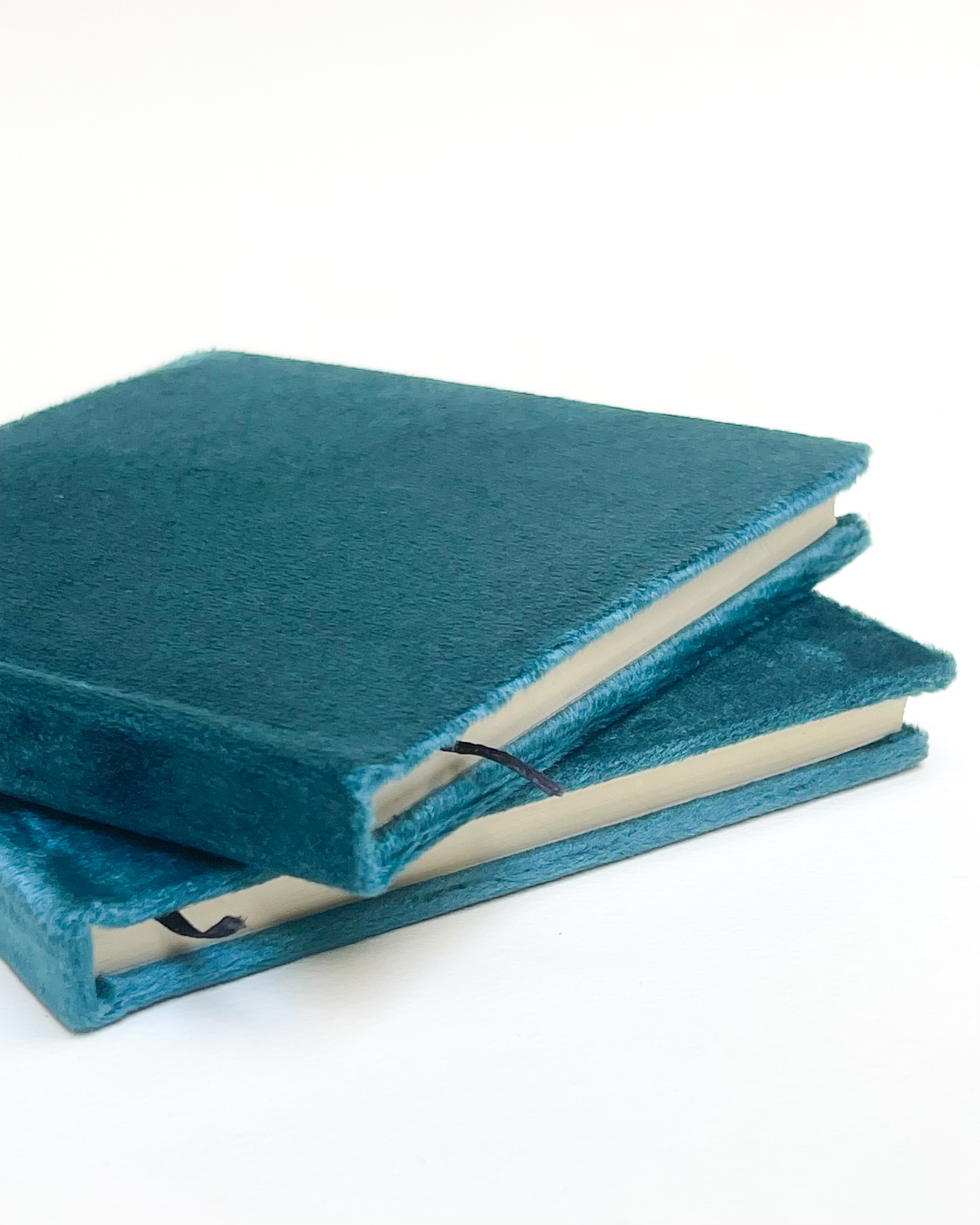 The Velvet Notebook
