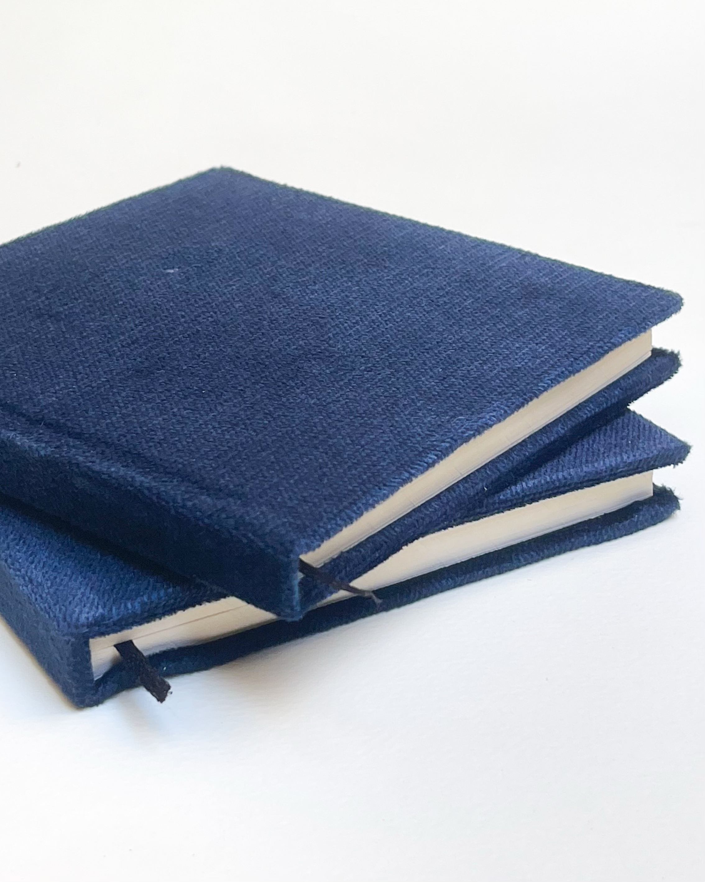 The Velvet Notebook