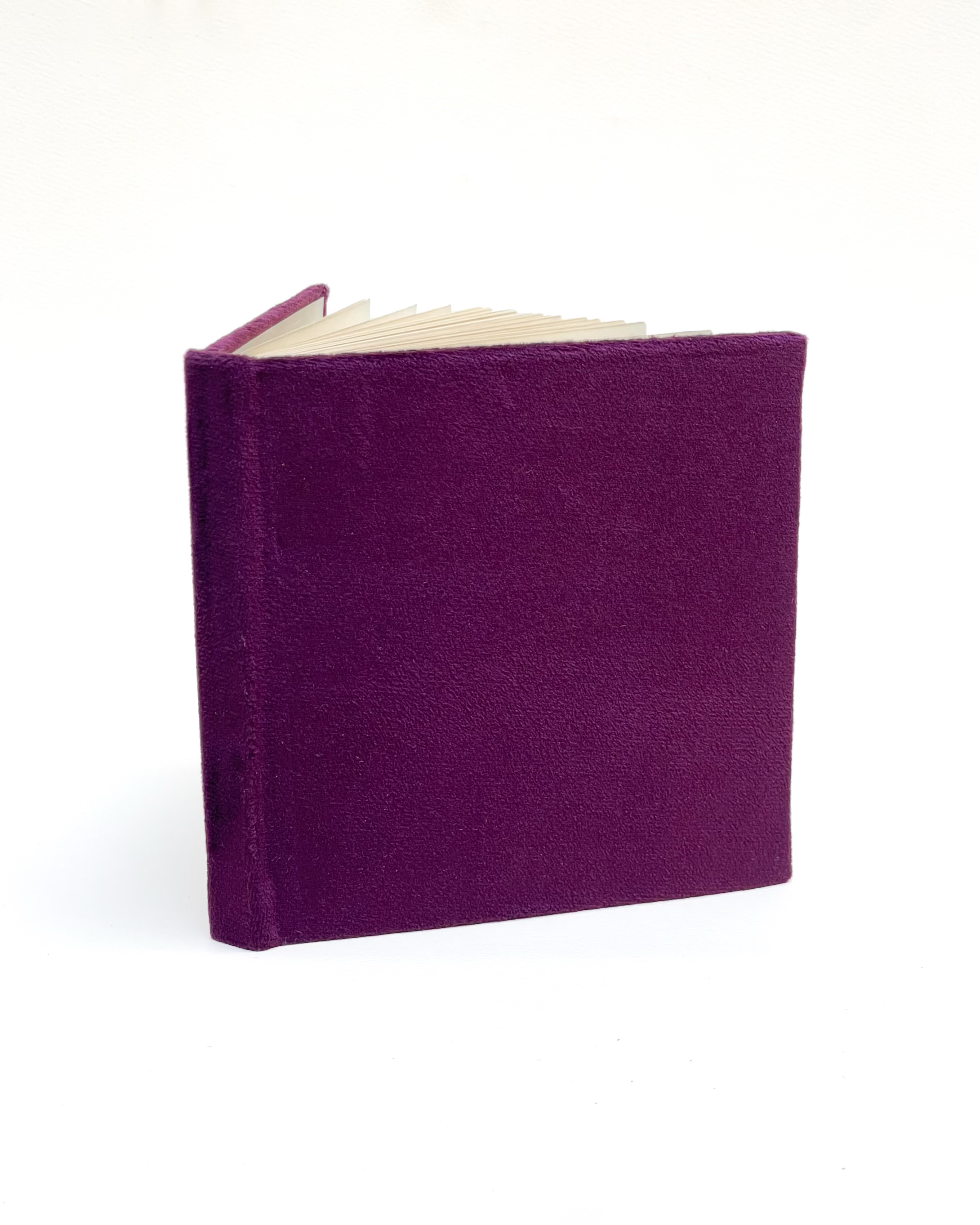 The Velvet Notebook