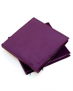 The Velvet Notebook
