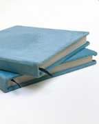 The Velvet Notebook