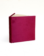 The Velvet Notebook