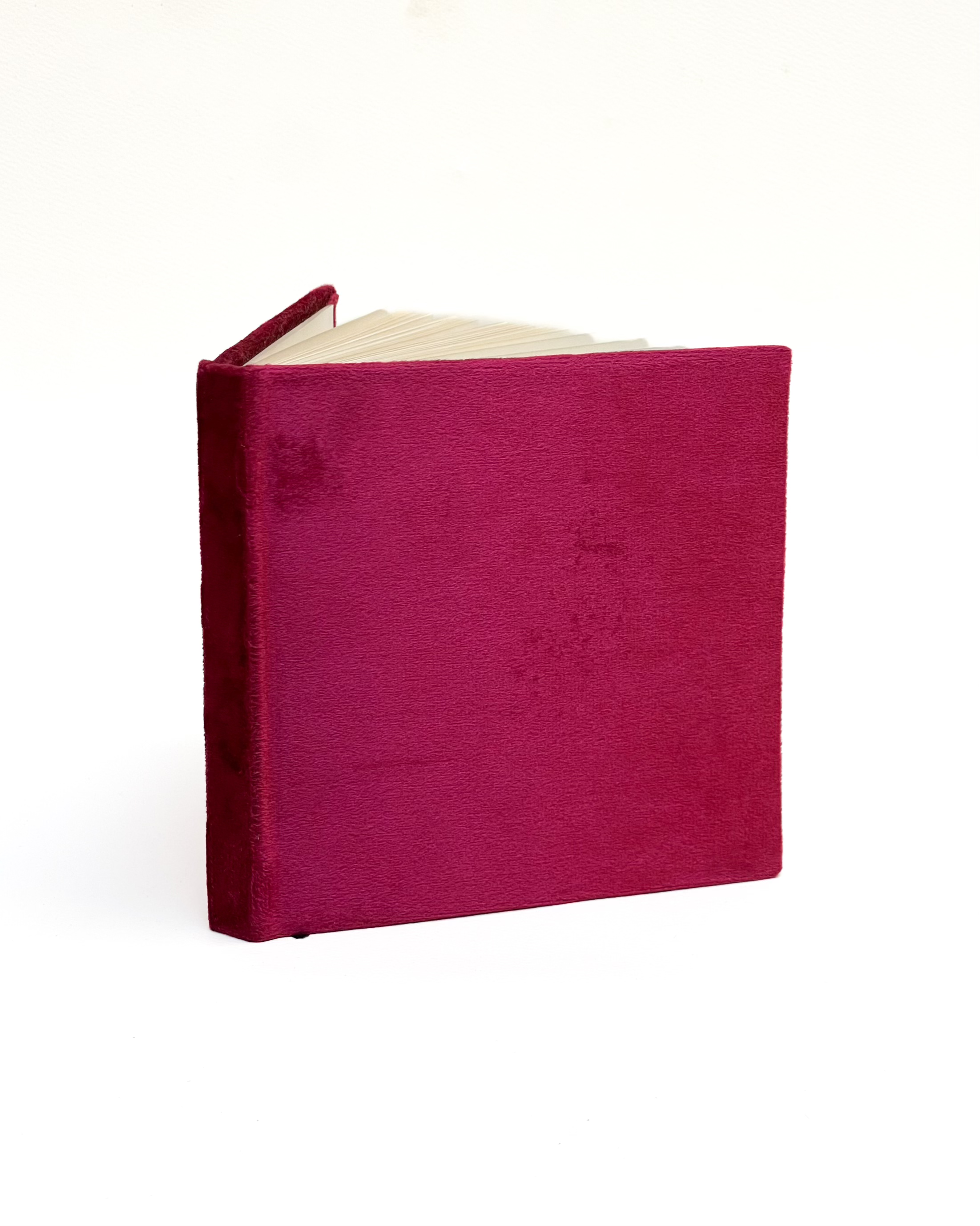 The Velvet Notebook