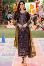 3 Piece Stitched Chiffon Suit - Ready  to Wear